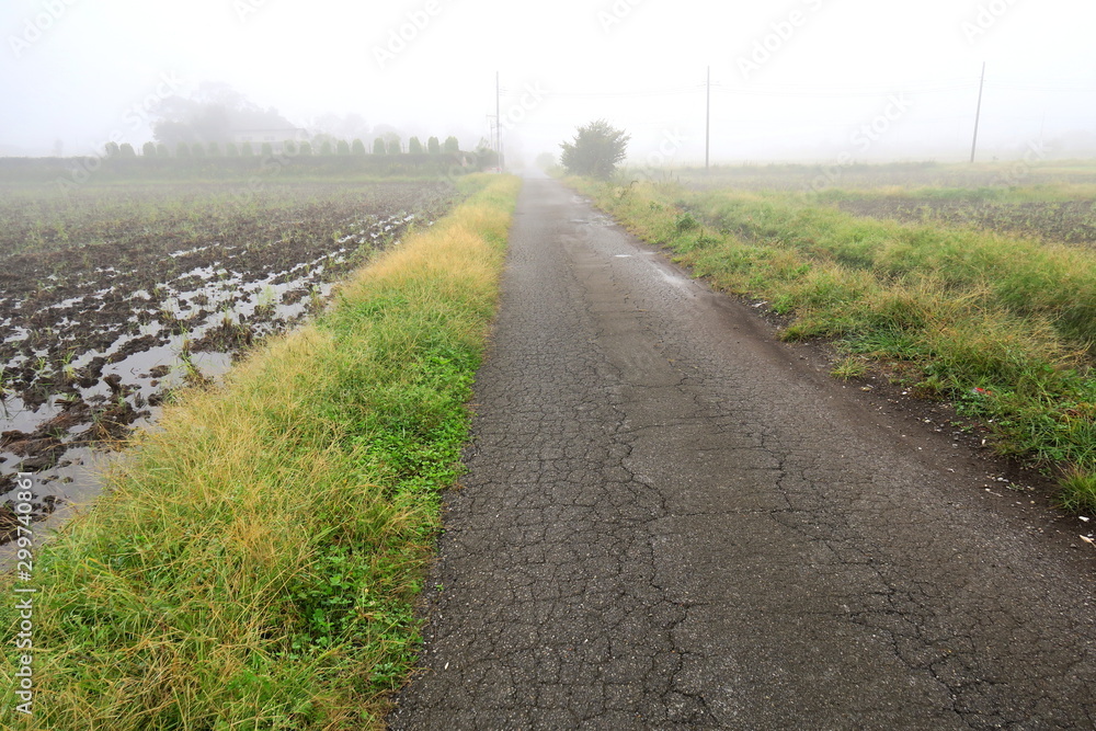 秋の朝霧の中の農道風景