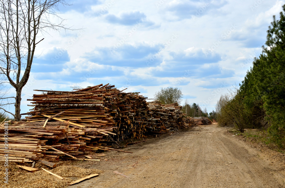 Logs stacked on logging and woodworking industry. A stock pile of timber, chopped down trees. Timber industry. De-forestation.