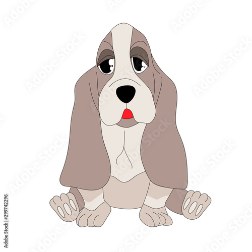  Vector cartoon cute Basset Hound puppy.