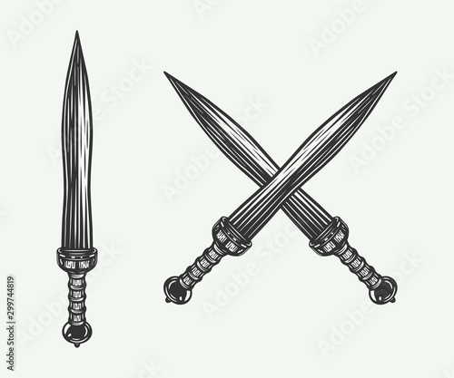 Vintage retro cross short swords. Roman sword. Gladius. Graphic Art. Illustration. Vector. photo