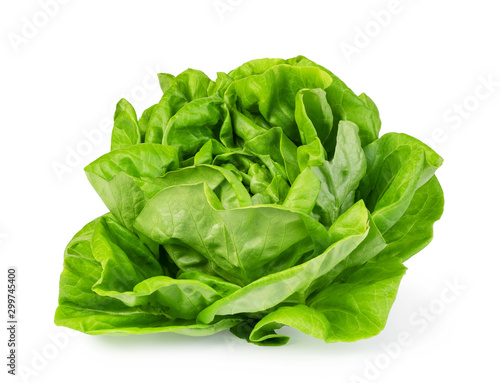 Fotografie green butter lettuce