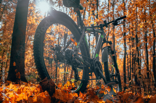 Mountain bike stands in a beautiful autumn forest close-up, tinted photo