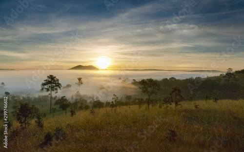 Mountain view misty morning on meadow around with sea of fog  peak mountain and yellow light light in cloudy sky background  sunrise at Thung Salang Luang National Park  Khao Kho  Phetchabun  Thailand