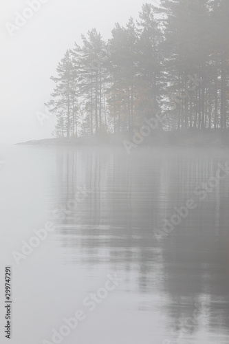 Fotografía Trees reflection at lake foggy morning