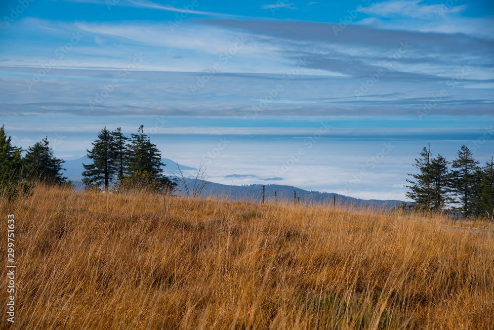 Blick von der Hornisgrinde im Schwarzwald im späten Herbst