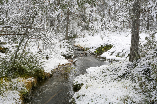 First snowfall