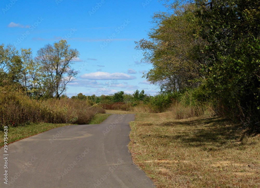 The long empty pathway in the park on a sunny day. The long empty pathway in the park on a sunny day.
