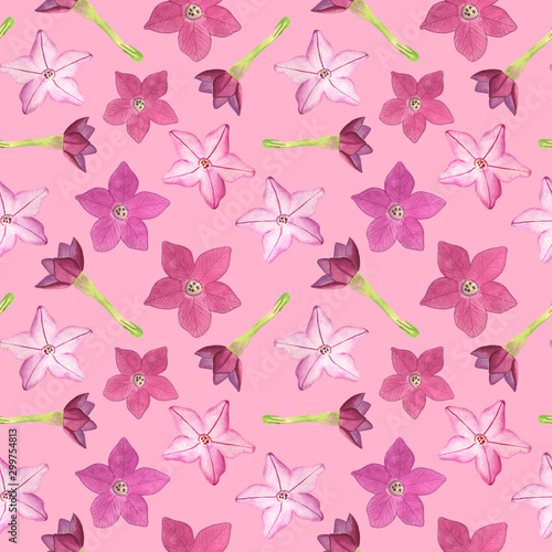 Watercolor pink tobacco flowers seamless pattern. Hand drawn floral illustration on bright pink background for textile, wrapping paper, greeting card, fashion, design, decoration.