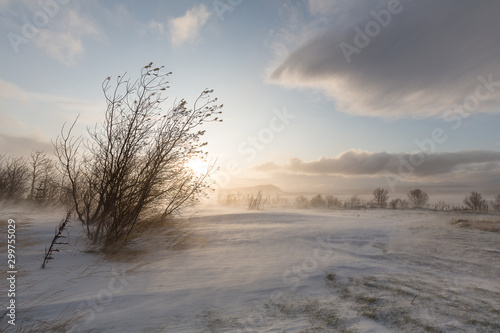 ruhige Winterlandschaft in schönem Licht © annebe