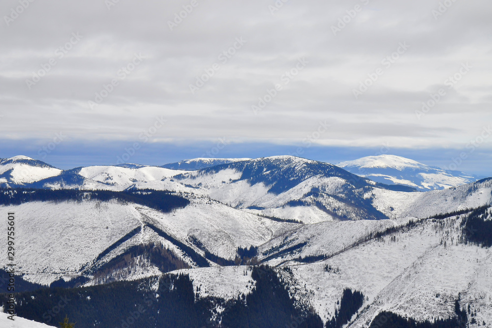 Winter landscape of Low Tatras mountains situated in the heart of Slovakia. Forests destroyed by human activity. Carpathian mountains. Kráľova hoľa peak. 