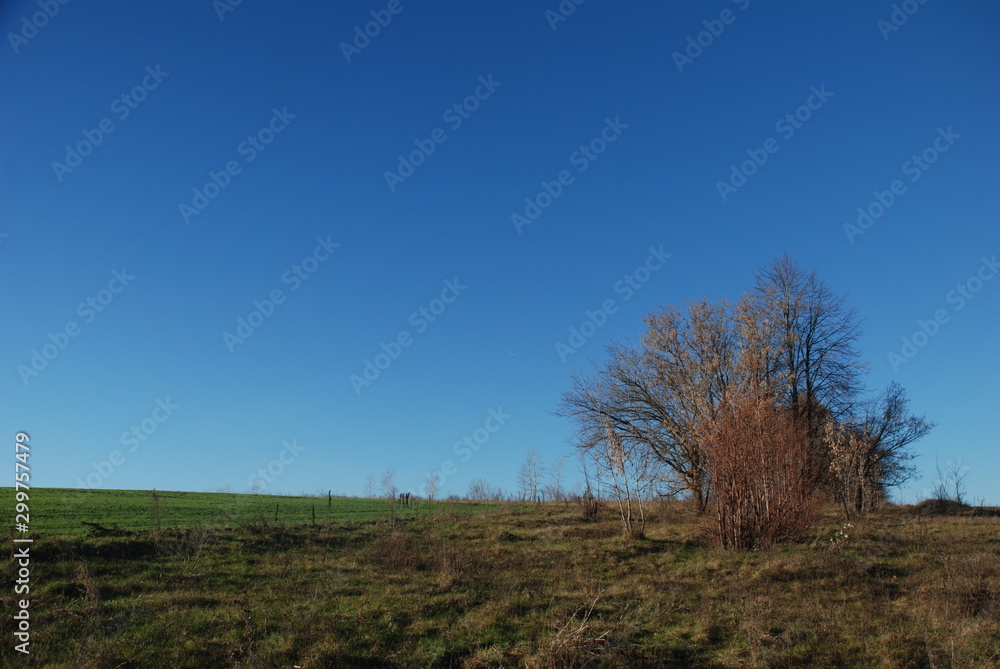 autumn landscape