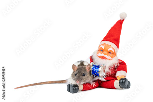 cute rat on white background Santa Claus insulator. © Екатерина Переславце