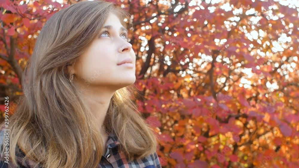 profile of a beautiful young woman looking up gratefully, girl walking through autumn nature in a park profile of a beautiful young woman looking up gratefully, girl walking through autumn nature in a park