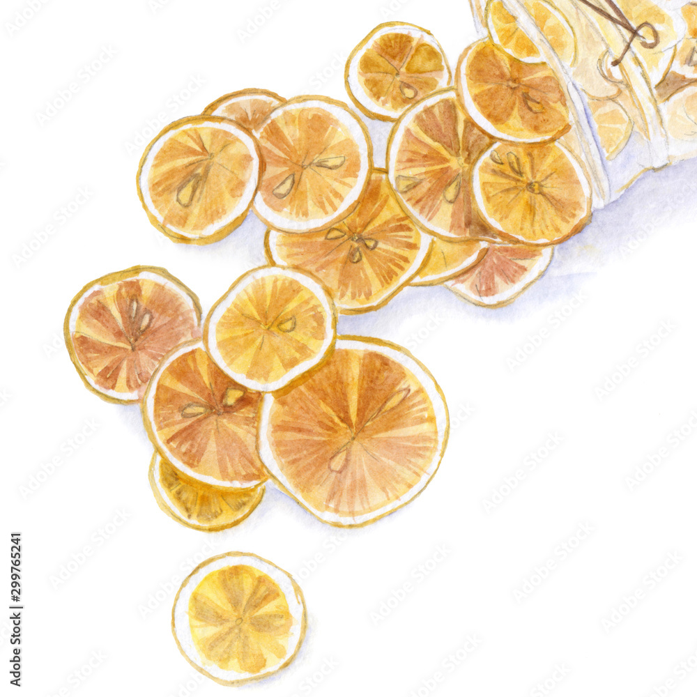 watercolor sprinkled dried citruses in a glass jar isolated on white watercolor sprinkled dried citruses in a glass jar isolated on white