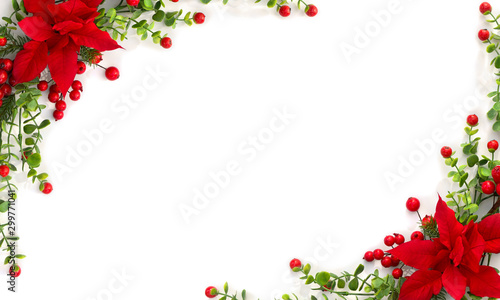 Christmas decoration. Frame of flower of red poinsettia, branch christmas tree, red berry on a white background with space for text. Top view, flat lay