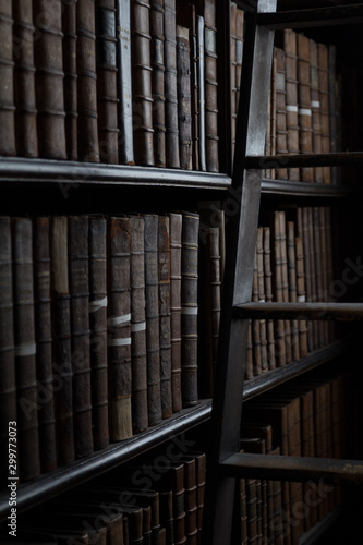 Bookshelf ladder Trinity College Library