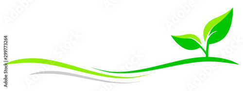 green nature - 4
