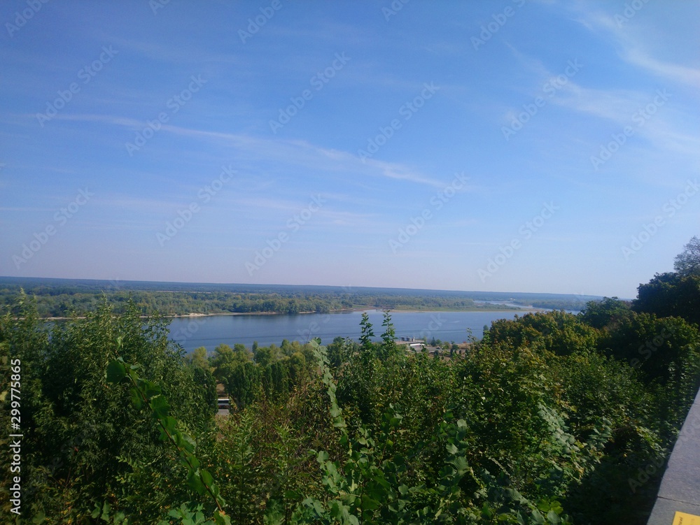  Shevchenko Forest