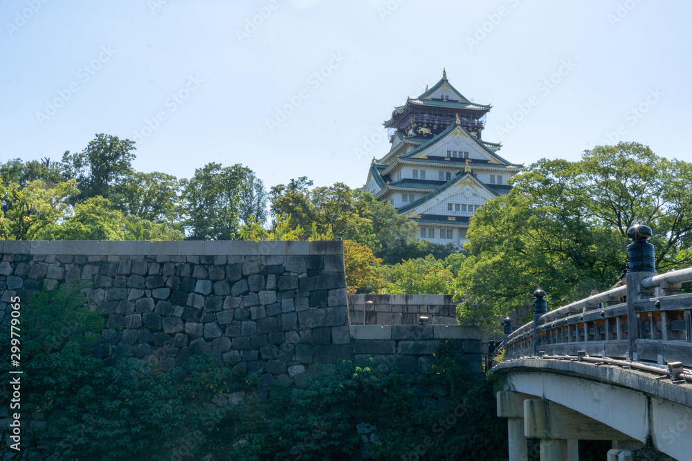 Obraz premium Osaka Castle in Japan