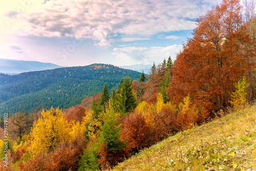 Autumn in the mountains. Panoramic view of the mountains in autumn. Beautiful nature landscape. Carpathian mountains. Bukovel, Ukraine
