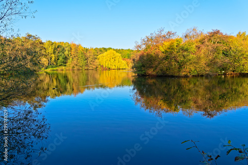 Vibrant autumn foliage is reflected in the still waters of a small lake on a bright cloudless morning in Nottinghamshire.