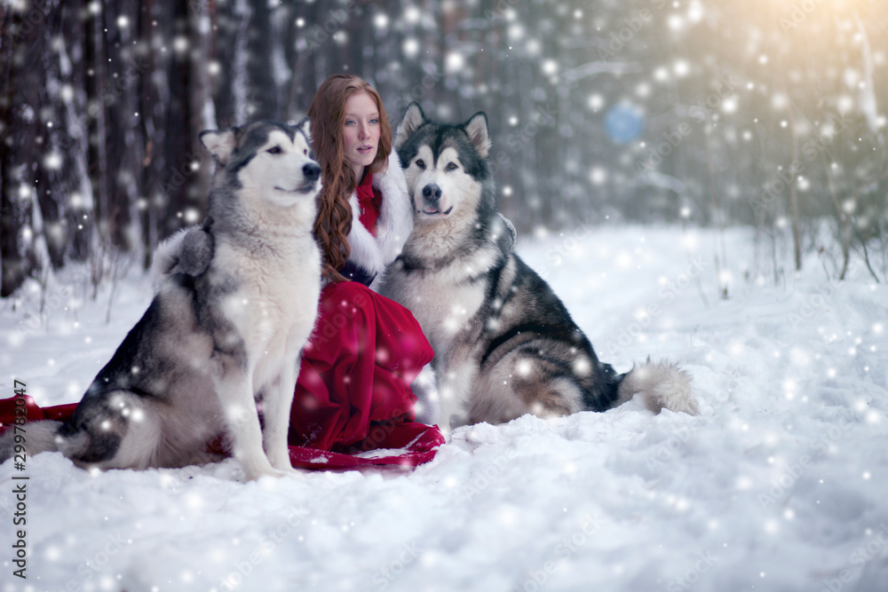 Naklejka premium Attractive woman with the dogs