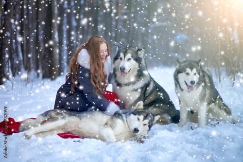 Attractive woman with the dogs photo