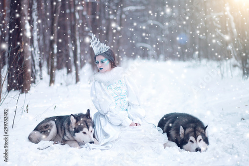 Obraz na plátně Snow queen in winter. Fairy tale girl with Malamute.