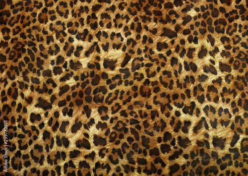 Fototapeta leopard skin texture