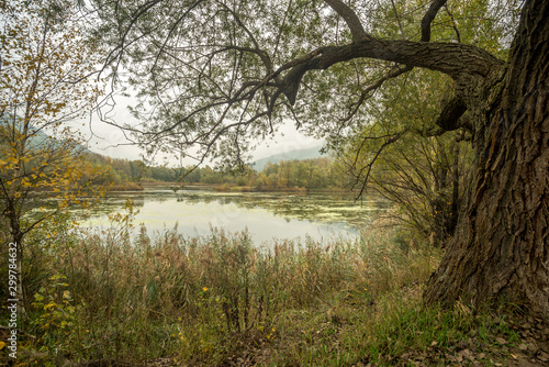 Autumn panorama, bad wheater on lake © mashiro2004