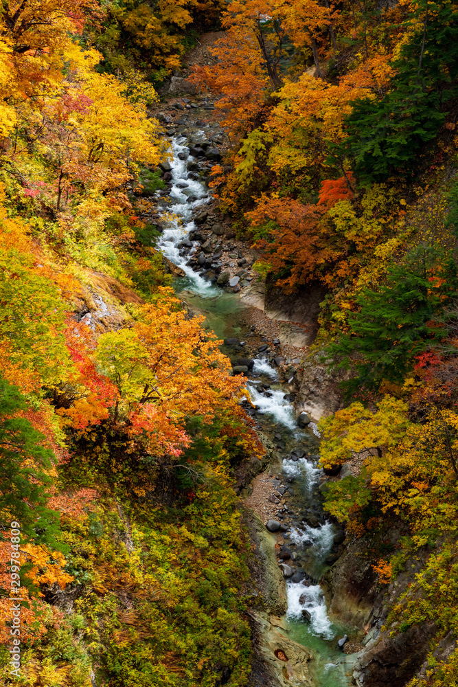 The Mount Hakkoda in autumn The Mount Hakkoda in autumn