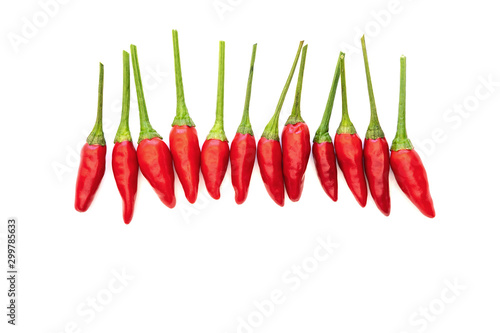 Red chilies displayed on white background with copy space