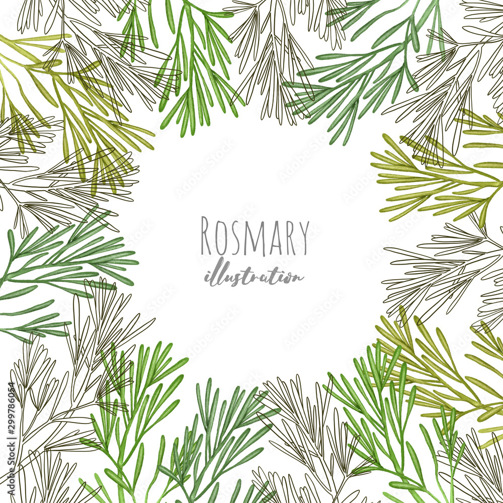 Card template with hand drawn rosemary, illustration on a white background