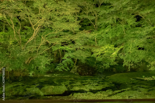 京都　瑠璃光院　日本庭園　紅葉　数寄屋造り　観光　写真素材　八瀬　お抹茶　お茶室　ライトアップ