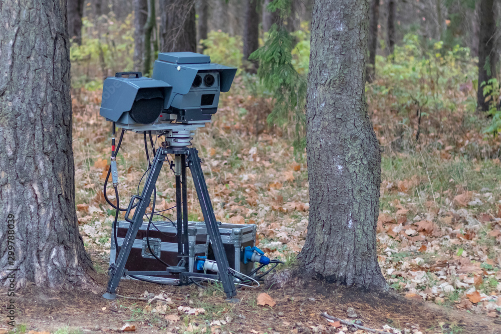 speed camera is standing in the forest. shallow depth of field. there is tinting speed camera is standing in the forest. shallow depth of field. there is tinting