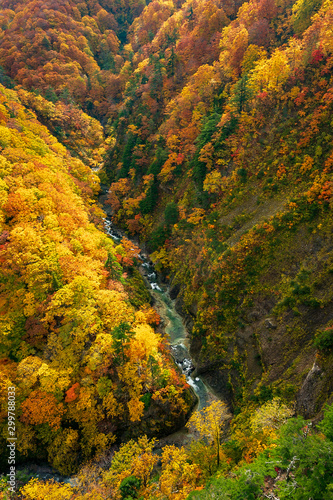 The Mount Hakkoda in autumn 