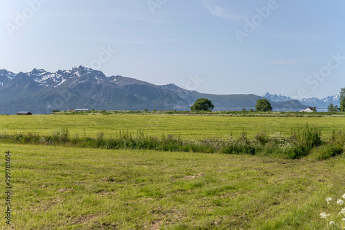 grass fields on fjord coast  near Gjerstad  Norway