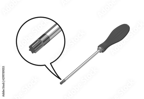 Cacciavite punta torx con dettaglio