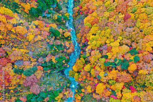 The Mount Hakkoda in autumn 
