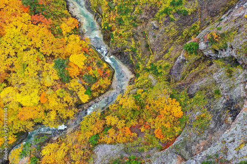 The Mount Hakkoda in autumn 