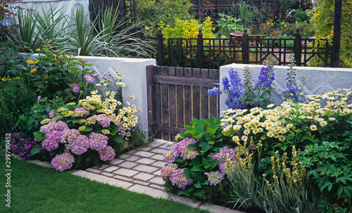 Photo Colourful flower border of an urban garden with Hydrangeas Delphiniums and Ox Ey