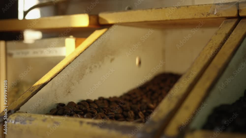 Fresh coffee beans scooped out of container Fresh coffee beans scooped out of container