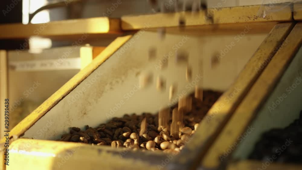 Fresh coffee beans poured into a container Fresh coffee beans poured into a container