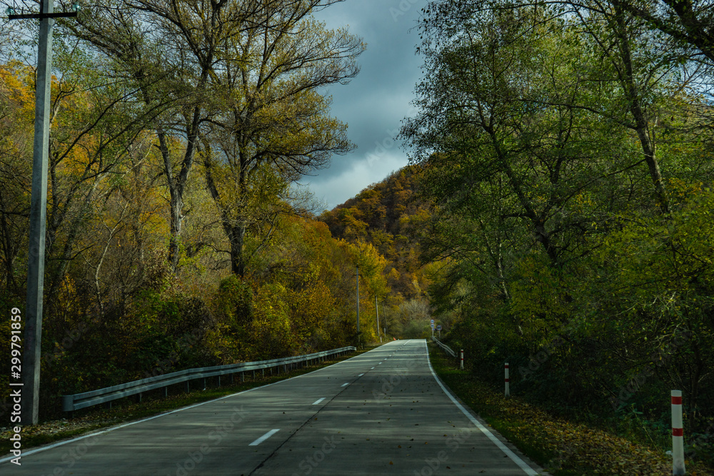 Autumnal road landscape