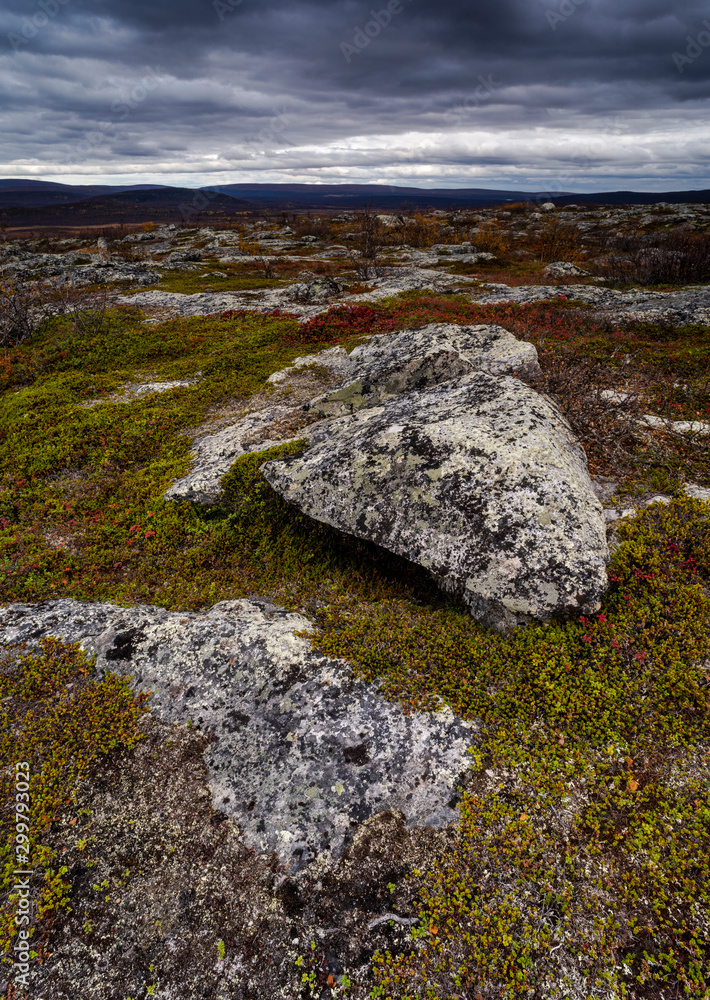 Lichen covered rocks on high fell, Kilpisjarvi, Lapland, Finland. Lichen covered rocks on high fell, Kilpisjarvi, Lapland, Finland.
