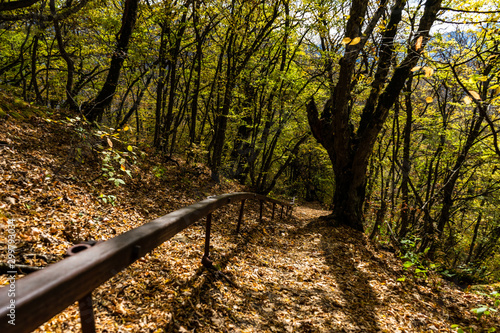 Autumnal travel landscape photo