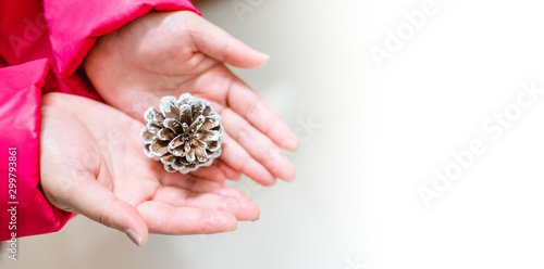 Top view of Woman hand holding and show Pine cones for decoration christmas tree in Christmas celebration on white background.