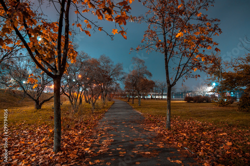 autumn alley in the night city
