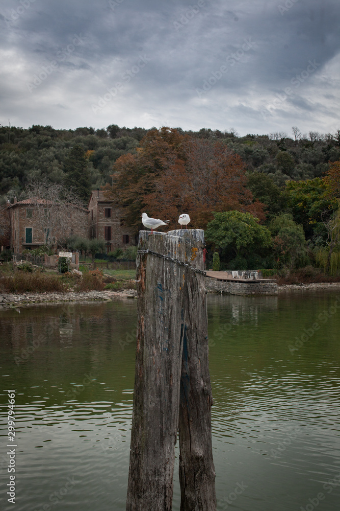 Two seagulls on a pillar coming out of the lake shore side pier old Italy lake town Two seagulls on a pillar coming out of the lake shore side pier old Italy lake town