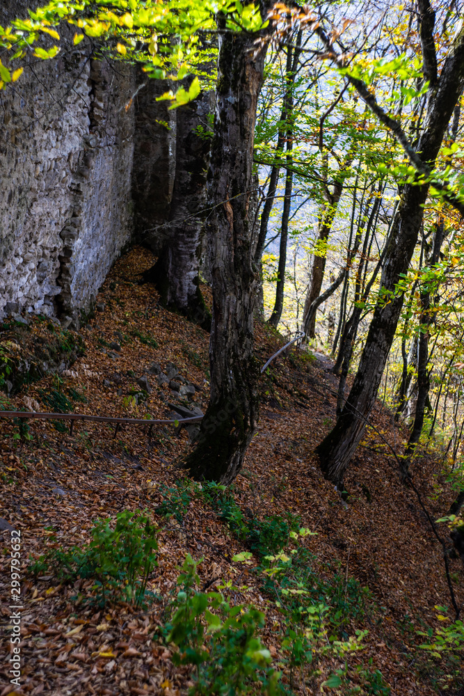 Autumnal travel landscape